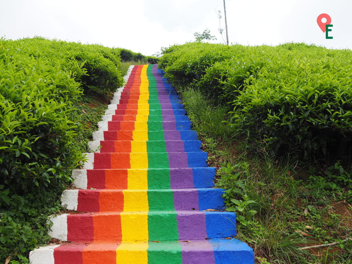 Another Rainbow Staircase At Kuala Terla Plantation