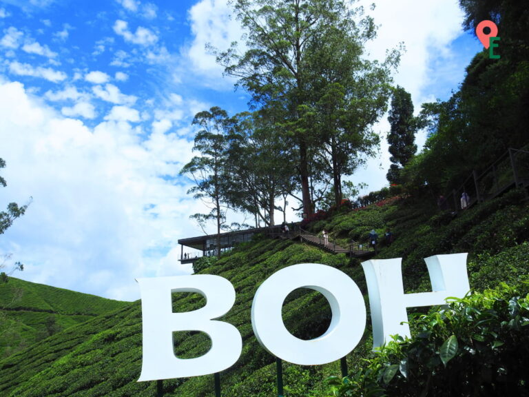 BOH Sungai Palas Tea Centre