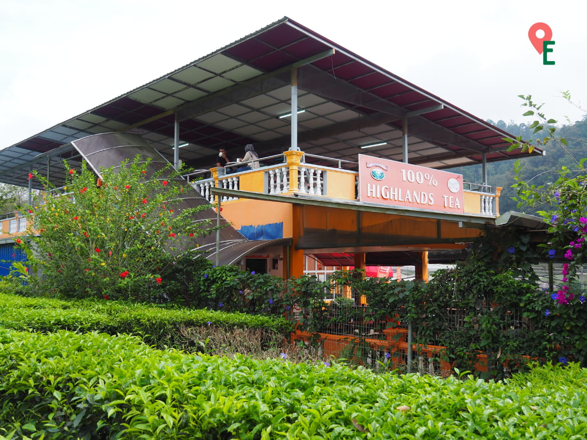 Cameron Valley Tea House 3 Viewed From Kuala Terla Plantation