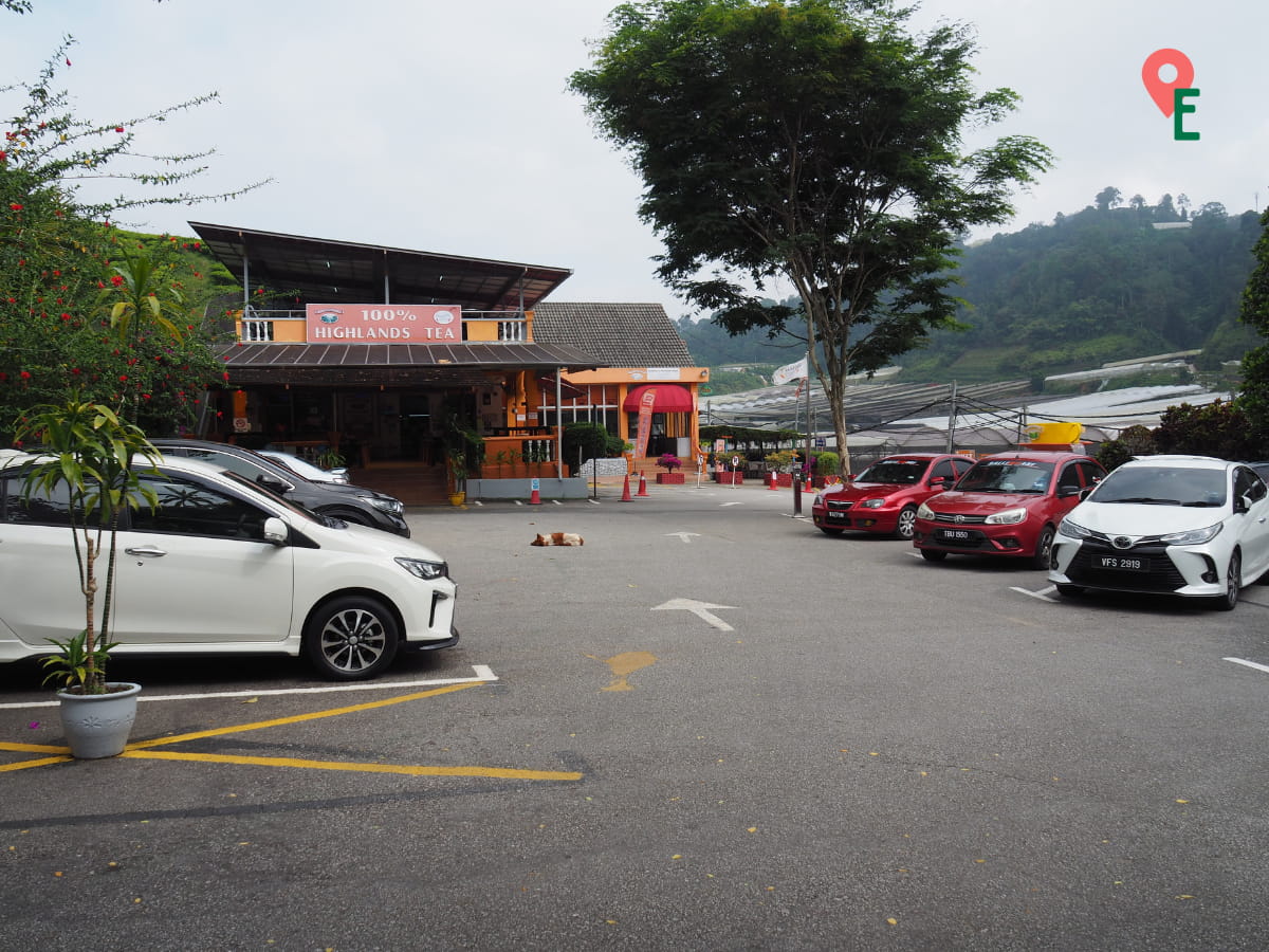 Car Park At Cameron Valley Tea House 3