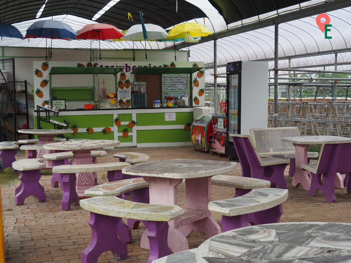 Closed Strawberry Cafe Inside Agro Technology Park MARDI Cameron Highlands