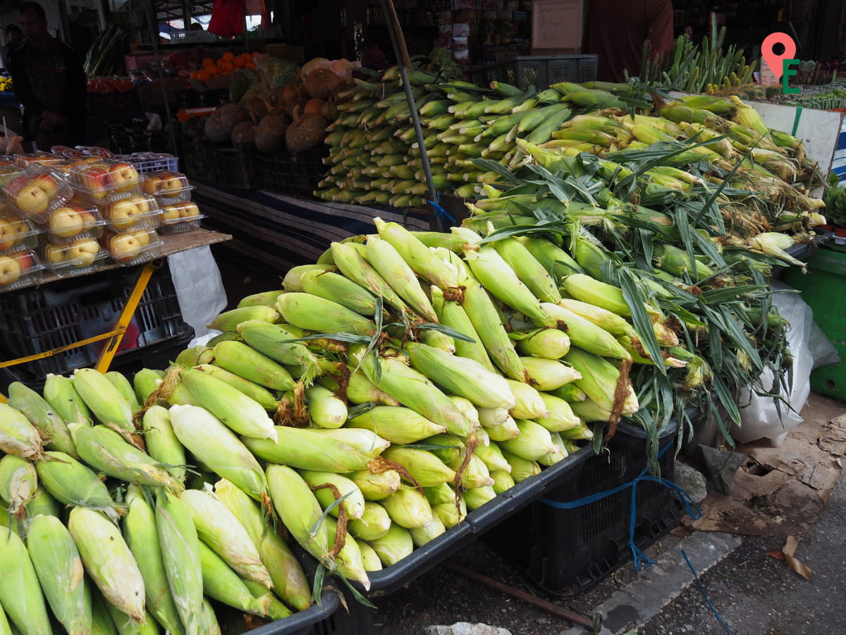 Corn For Sale At Kea Farm Market