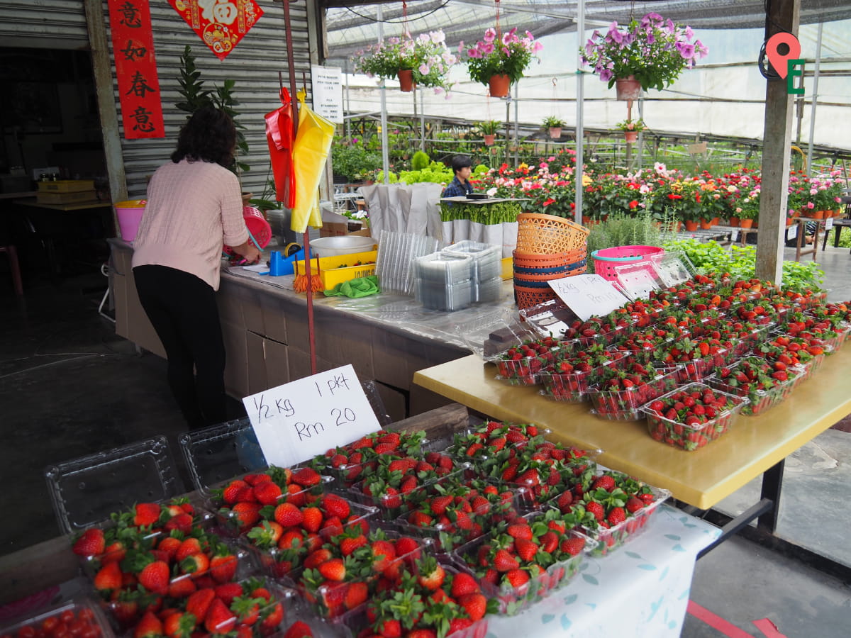 Counter At Ladang Soon Cheong