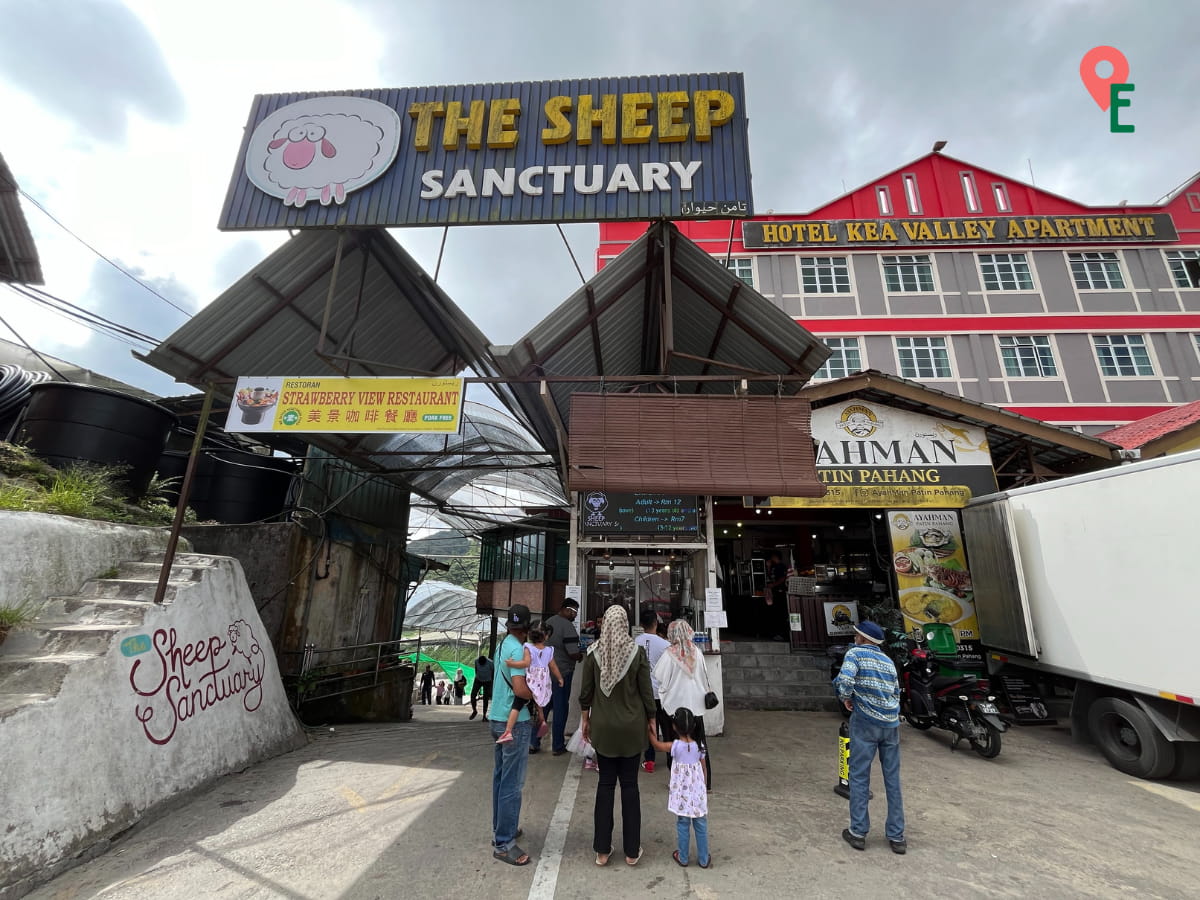 Entrance To The Sheep Sanctuary At Kea Farm Market