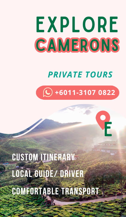 Explore Camerons Tour Service Vertical Banner