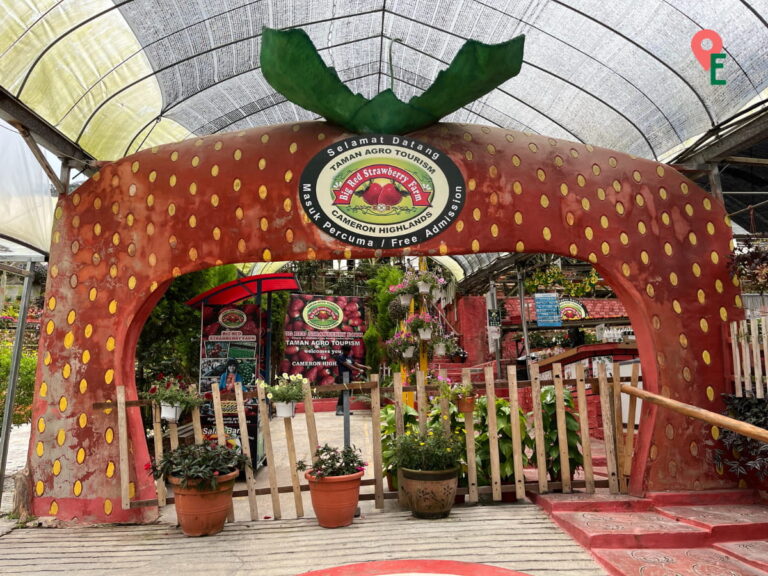 Front Of Big Red Strawberry Farm