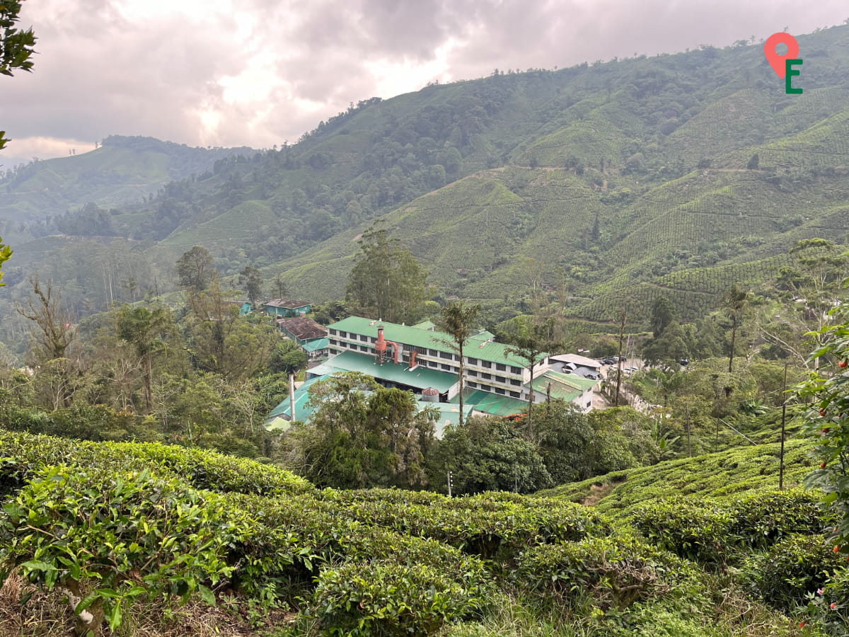 Hilltop View Of The Tea Processing Plant At BOH Habu Tea Plantation