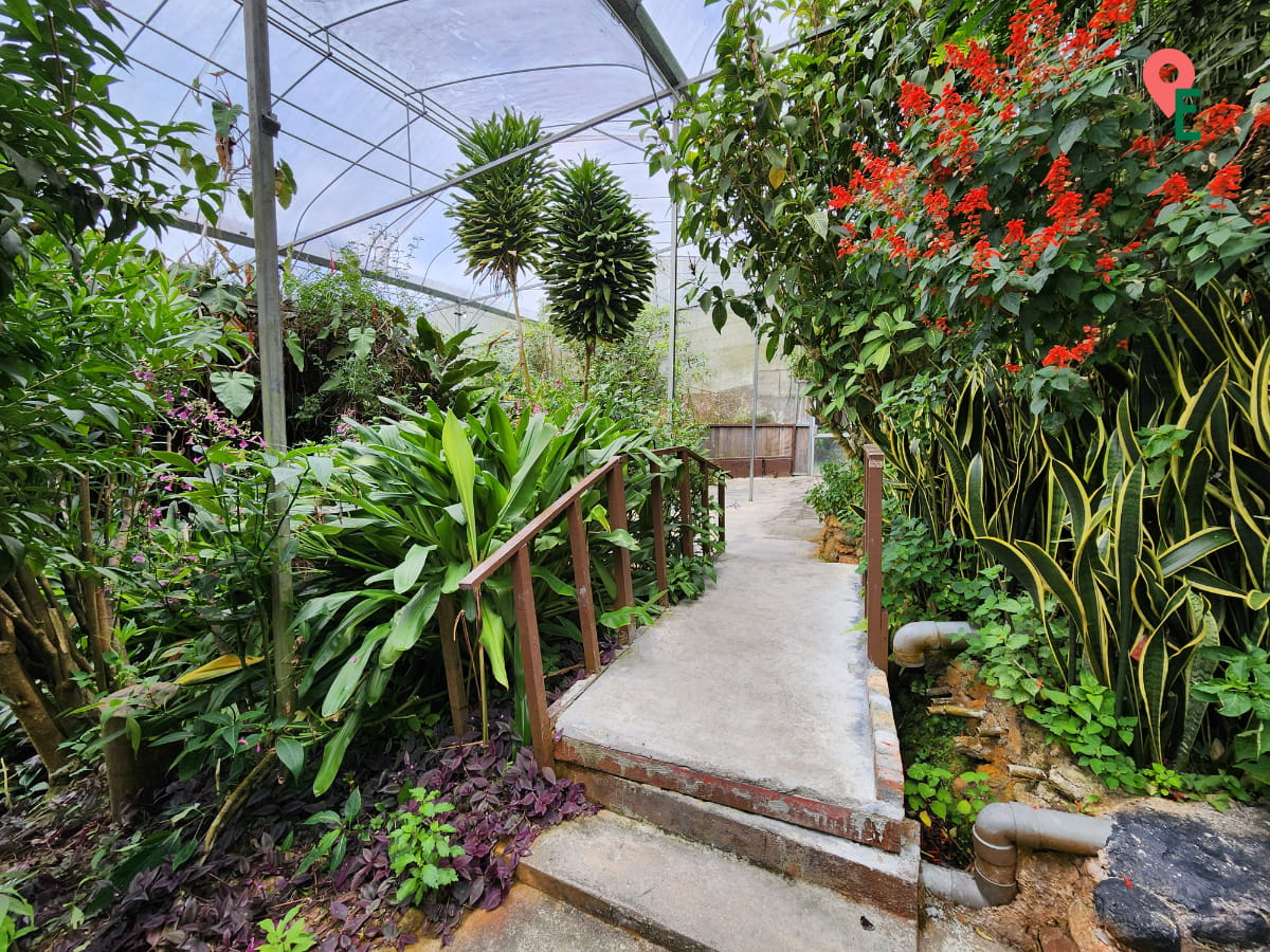 Landscaping At ZooMania Butterfly Farm