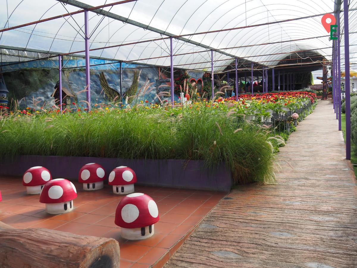 Little Mushroom Seats And Gerbera Daisies At Lavender Garden