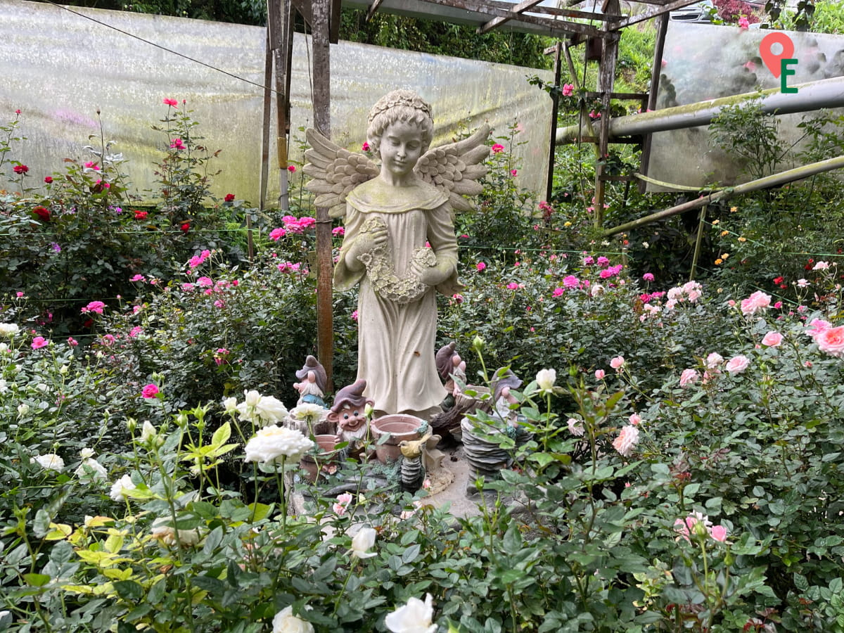 One of Many Garden Statues In Rose Valley