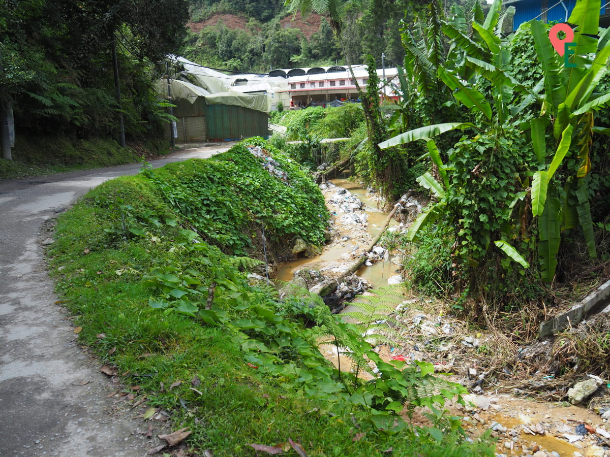 Polluted Stream Outside The Entrance Of Coral Hill