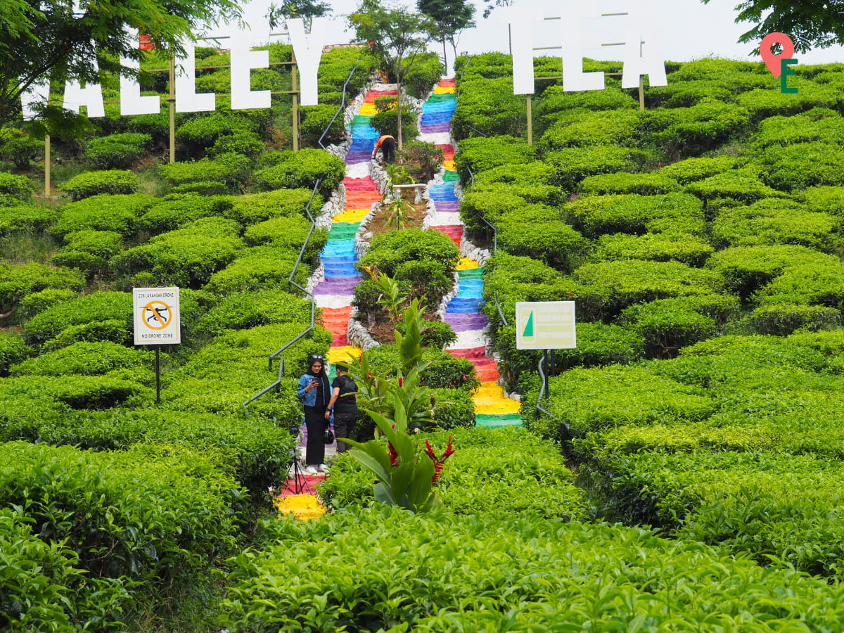 Rainbow Staircase At Kuala Terla Plantation