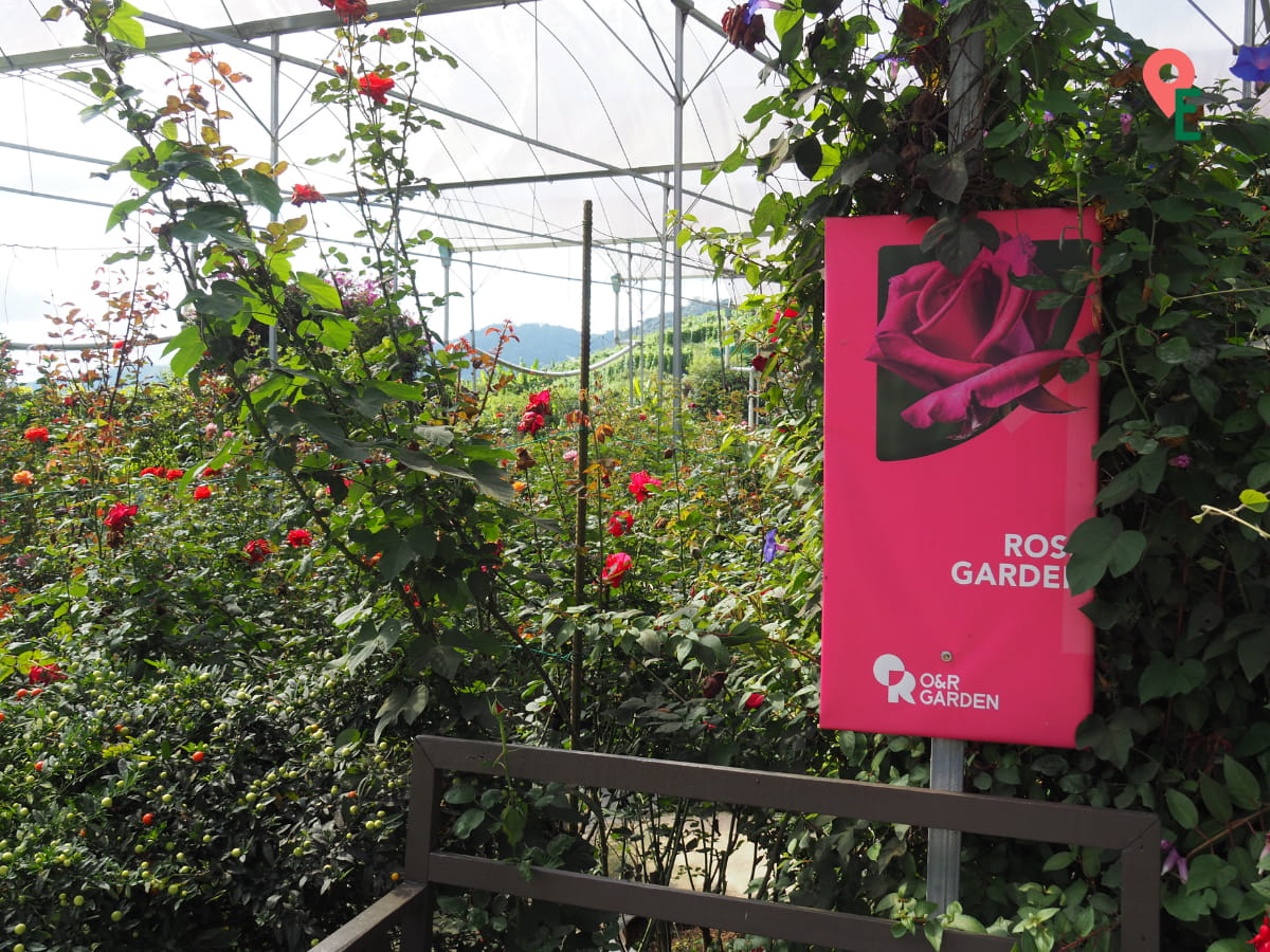 Signage For The Rose Garden At O&R Garden