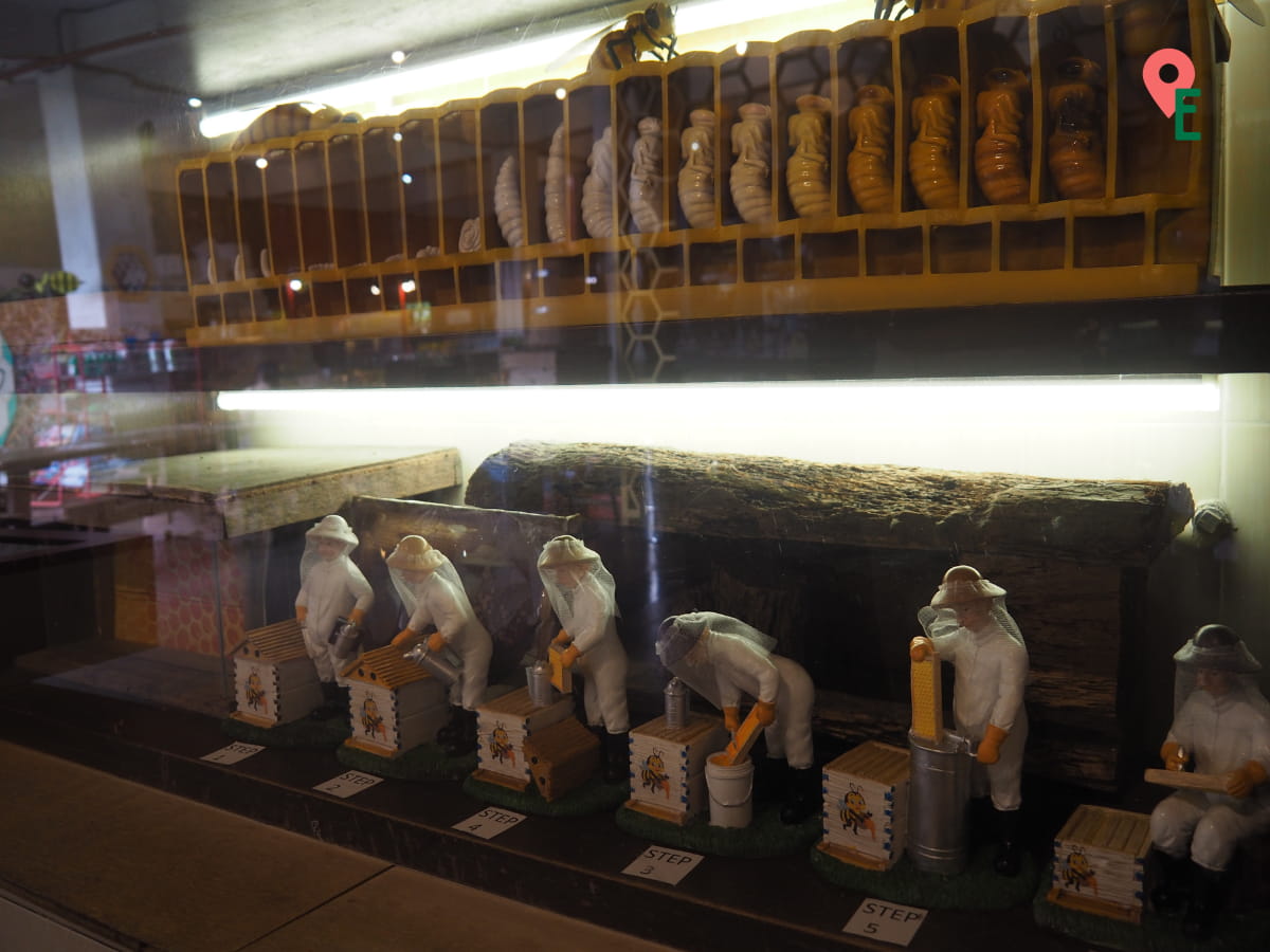 Some Of The Displays At The Bee Gallery At Ee Feng Gu Bee Farm