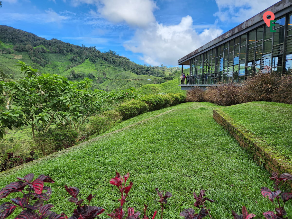 View Of Sungai Palas BOH Tea Centre From The Side