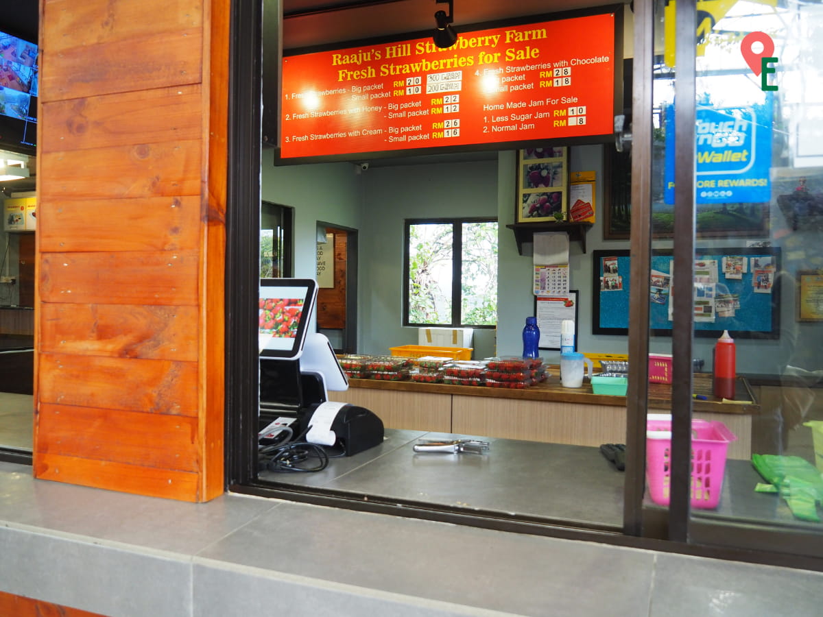 Weighing Station At Raju's Hill Strawberry Farm