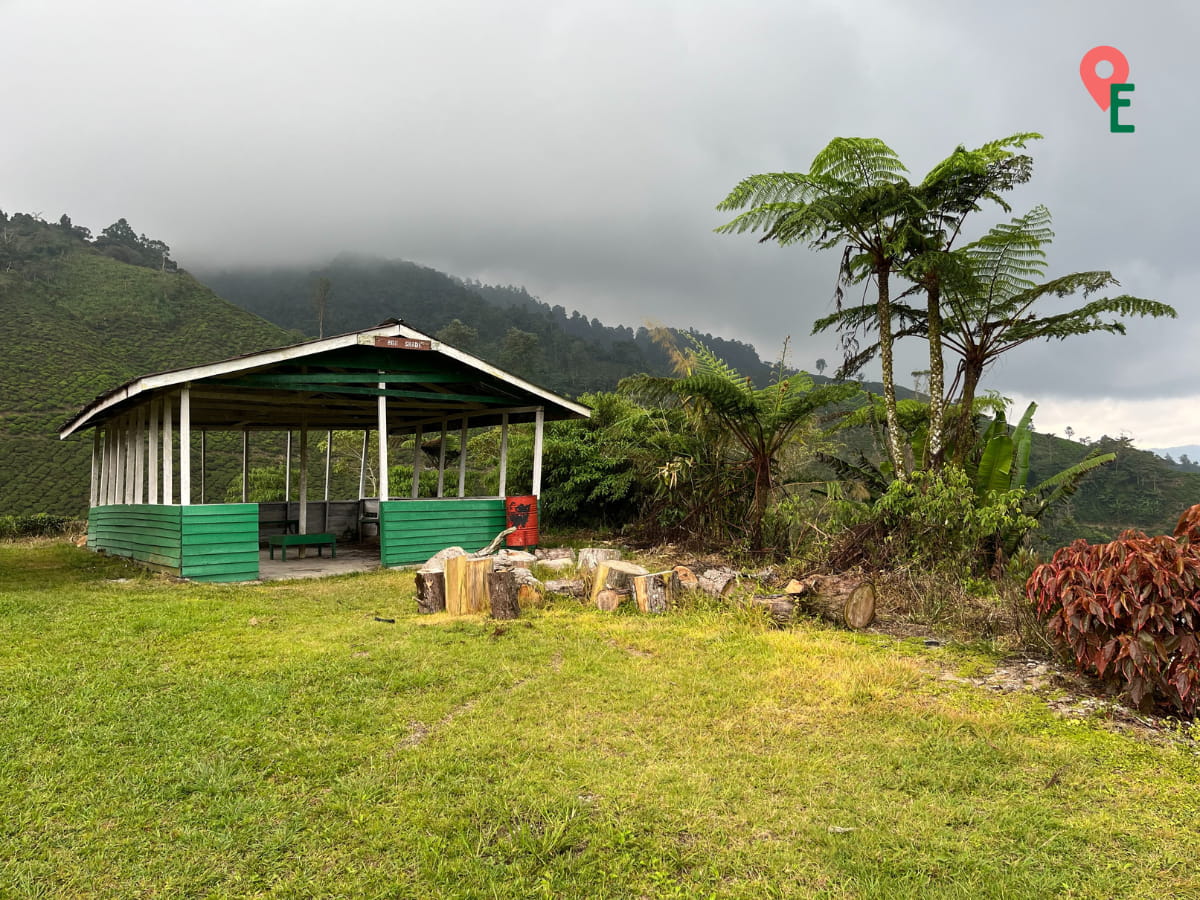 Wooden Shelter At The Hill Top Of BOH Habu Tea Plantation